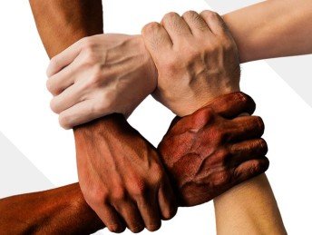 Charity Sector Diversity